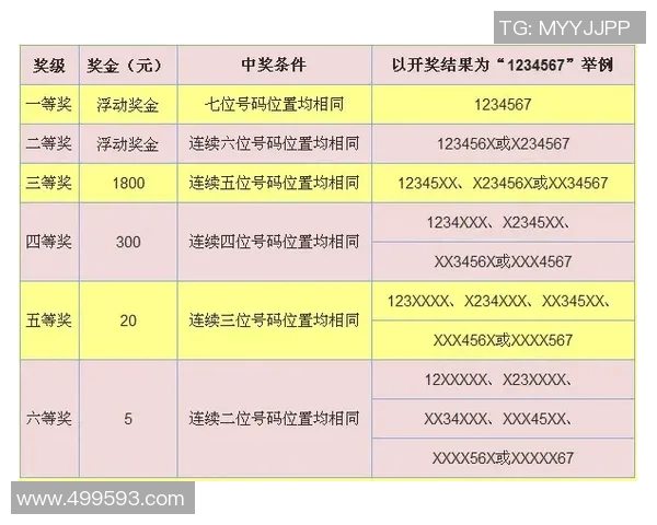 如何选择最佳投注方式分析巴西对荷兰比赛的投注策略