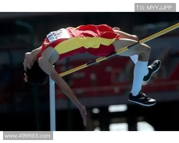 跳高世界纪录的最新数据及其背后的传奇故事揭秘