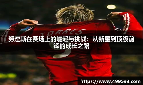 努涅斯在赛场上的崛起与挑战：从新星到顶级前锋的成长之路